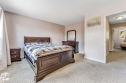 Plush carpeting in a neutral tone - 