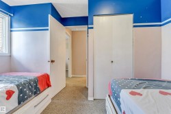 Carpeted room featuring a white-framed window, bi-fold closet doors, and painted walls - 