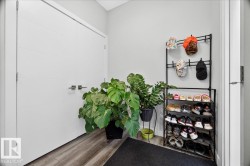 Light gray wall paint, wood-finish flooring, and white trim - 