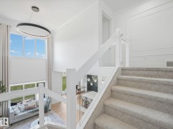 Carpeted staircase featuring a glass and white wood-finish railing - 