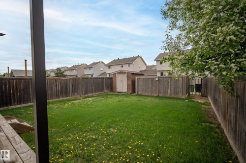 Spacious backyard featuring a full wood fence, mature tree, and a garden shed - 2369 27 Avenue, Edmonton, AB 