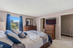 Spacious bedroom featuring light-colored walls, carpeted flooring, and a large window - 