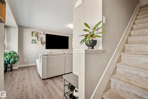Carpeted staircase with a built-in display niche, leading to a living area with wood-finish flooring and neutral wall tones - 11 4205 30 Street, Edmonton, AB 