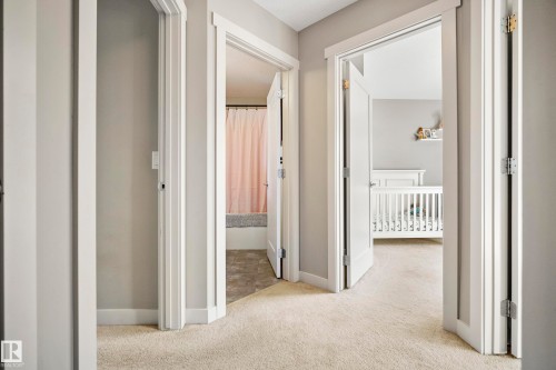 Central hallway with light beige carpeting and neutral gray wall tones - 11 4205 30 Street, Edmonton, AB 