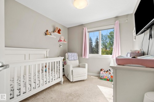 Bright room featuring a large window, neutral wall paint, ceiling-mounted light fixture, and carpet flooring - 11 4205 30 Street, Edmonton, AB 