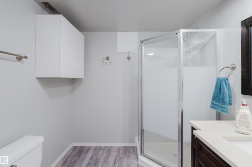 Corner shower with clear glass enclosure and frosted panels - 212 Homestead Crescent, Edmonton, AB 