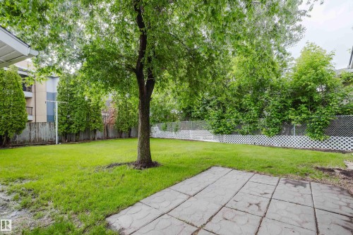 Generous green space with a mature deciduous tree, bordered by a wooden fence and white lattice accents - 212 Homestead Crescent, Edmonton, AB 