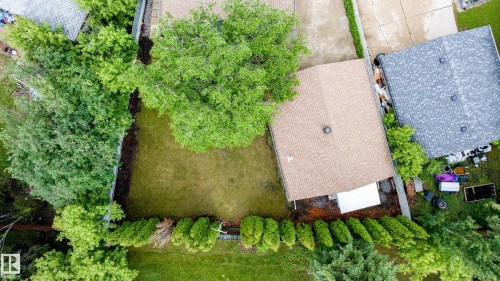 Private backyard space featuring a central lawn area, mature trees, and established perimeter hedging - 212 Homestead Crescent, Edmonton, AB 