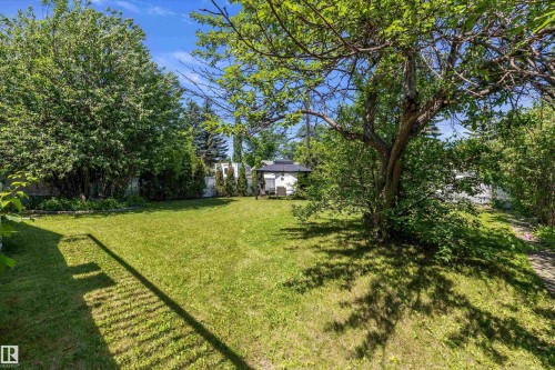Expansive green lawn surrounded by mature trees and shrubs - 11124 110A Avenue Nw, Edmonton, AB 