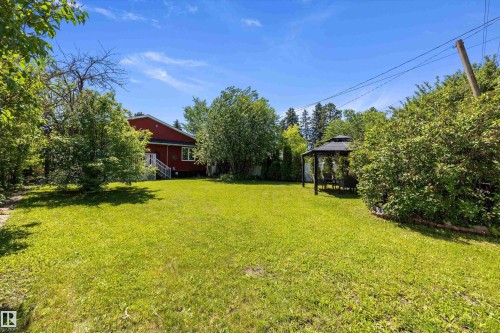 Expansive green lawn with a dark metal gazebo - 11124 110A Avenue Nw, Edmonton, AB 