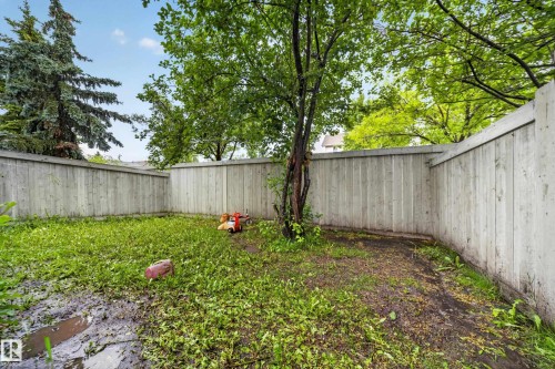 Private backyard space with mature trees and perimeter fencing - 4 4350 23 Street, Edmonton, AB 