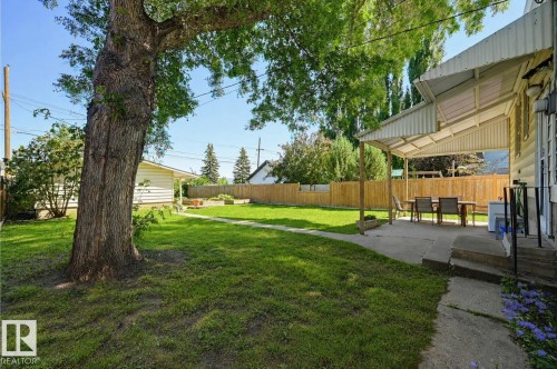 Expansive backyard featuring a large mature tree, manicured lawn, and wood privacy fencing - 11619 122 Street, Edmonton, AB 