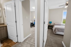 Hallway with neutral paint tones and coordinating carpet flooring - 