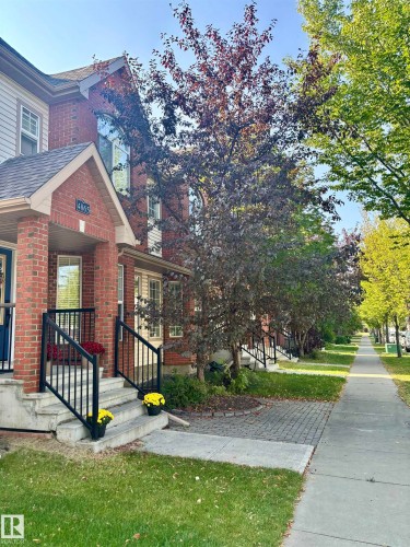 Summer! - 4865 Terwillegar Common, Edmonton, AB - Outdoor