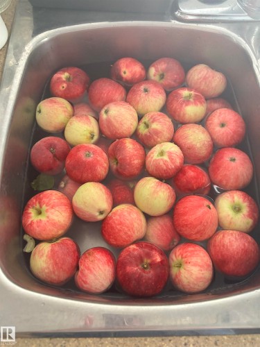 Apples from the apple tree in the back yard - 4865 Terwillegar Common, Edmonton, AB - Indoor Photo Showing Other Room