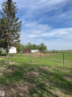Horse pasture with shelter - 