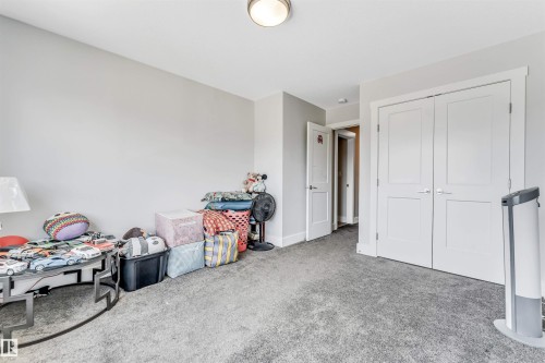 Bedroom featuring textured gray carpeting, neutral wall finishes, a ceiling-mounted light fixture, and white panel doors - 8516 216 Street, Edmonton, AB 