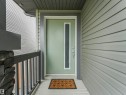 Entryway featuring a sage green door with a vertical frosted glass insert, dark grey trim, and a brushed nickel handle - 20507 99 Avenue, Edmonton, AB  - Outdoor With Exterior 