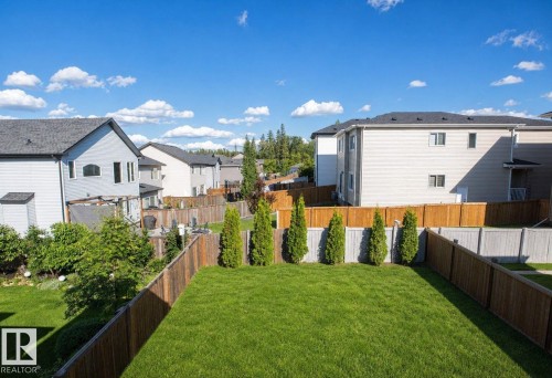 Expansive green lawn framed by a wooden fence, featuring established evergreen trees - 8 Meadowlink Common, Spruce Grove, AB - Outdoor