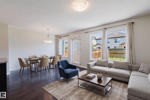 Open concept living and dining area featuring wood-finish flooring, multiple windows, a glass-paned door, and a dining light fixture - 1131 177 Street, Edmonton, AB 