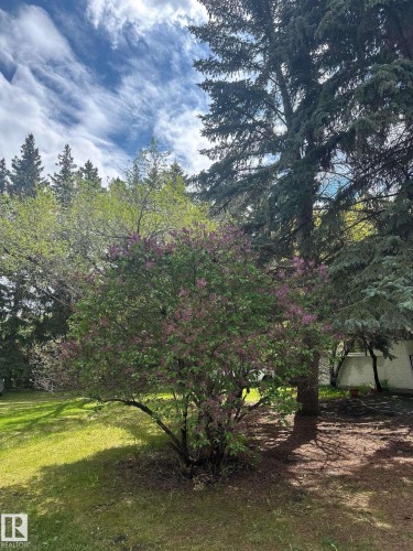 107 Grandisle Road, Edmonton, AB 