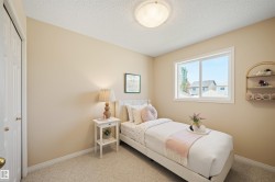 Windowed room with light-toned walls and plush carpeting - 