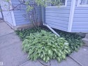 12237 140A Avenue, Edmonton, AB 