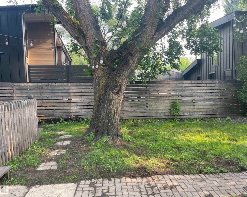 Mature tree centerpiece in a fenced yard, featuring a paver stone patio border and stepping stones - 10922 117 Street, Edmonton, AB 