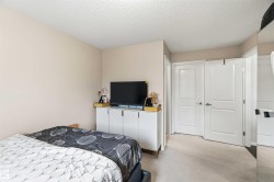 Soft neutral wall paint with textured ceiling, light-colored carpet flooring, and white paneled doors - 
