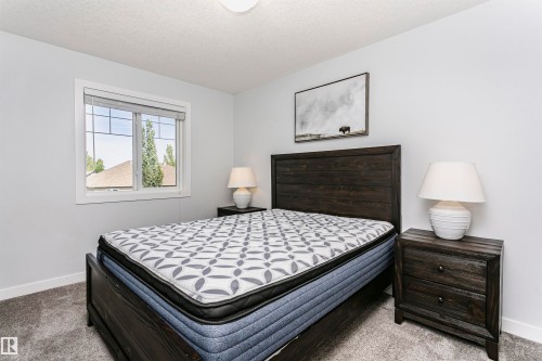 Bedroom featuring light gray wall paint, white trim, a double-paned window with grids, and gray carpet flooring - #55 723 172 St Sw, Edmonton, AB - Indoor Photo Showing Bedroom