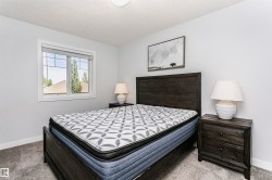 Bedroom featuring light gray wall paint, white trim, a double-paned window with grids, and gray carpet flooring - 