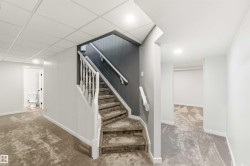 Carpeted staircase with white balusters and handrails, complemented by a dark accent wall - 