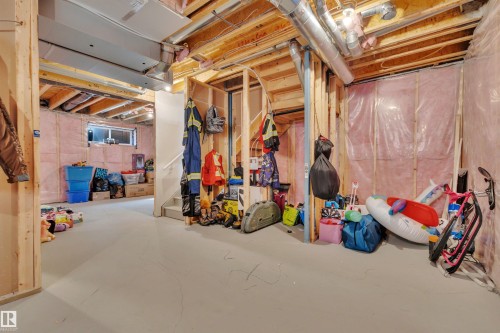 548 Reynalds Wynd, Leduc, AB - Indoor Photo Showing Basement
