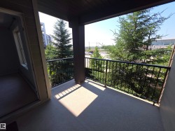 Spacious covered balcony with durable textured flooring, a black metal railing, and prominent evergreen trees - 