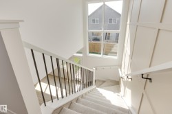 Staircase featuring a white handrail with black vertical balusters and carpeted treads - 