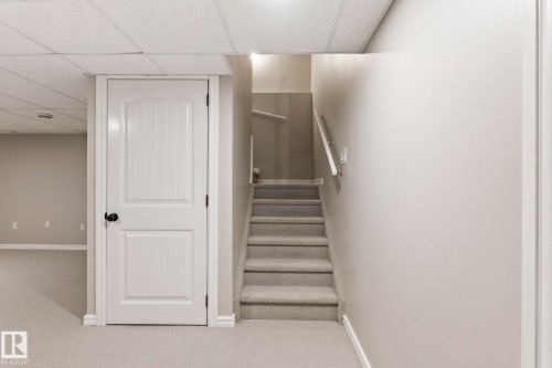 Carpeted stairway with a white handrail, leading to a finished lower level with light gray walls, white trim, and a drop ceiling - 1542 33A St Nw, Edmonton, AB 