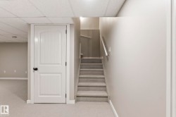 Carpeted stairway with a white handrail, leading to a finished lower level with light gray walls, white trim, and a drop ceiling - 