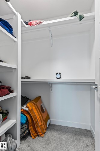 Walk-in closet featuring white built-in shelving, white walls, and grey carpet - 8046 Kiriak Link, Edmonton, AB - Indoor With Storage