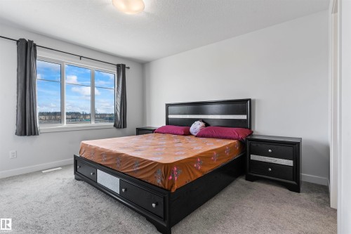 Bright bedroom featuring a multi-pane window, light gray carpeting, and white walls - 8046 Kiriak Link, Edmonton, AB - Indoor Photo Showing Bedroom
