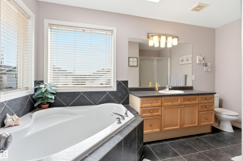 7307 Singer Way, Edmonton, AB - Indoor Photo Showing Bathroom