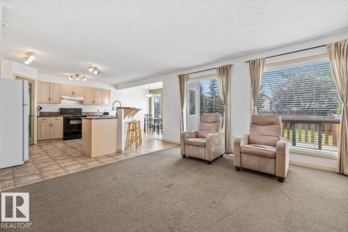 Living area featuring carpet flooring and natural light from large windows - 8509 7 Avenue, Edmonton, AB 