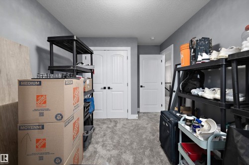 Versatile bonus room featuring soft gray wall paint and plush gray carpeting - 6084 179 Avenue, Edmonton, AB 