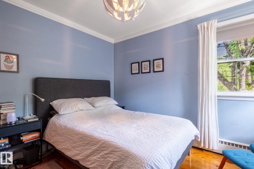 Bedroom with light blue walls, white crown molding, and wood-finish flooring - 11634 74 Avenue Nw, Edmonton, AB 