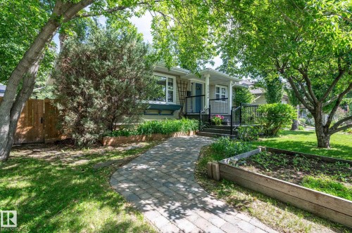 Charming bungalow featuring a patterned paver walkway, mature trees, and a wooden raised garden bed - 11634 74 Avenue Nw, Edmonton, AB 