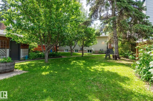 Expansive green lawn with mature trees and perimeter landscaping - 11634 74 Avenue Nw, Edmonton, AB 