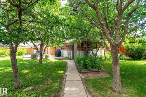 Expansive backyard featuring a concrete pathway, established trees, and a detached structure with siding - 11634 74 Avenue Nw, Edmonton, AB 