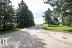 Concrete driveway with a rounded turn, bordered by a line of mature evergreen trees and a manicured lawn - 