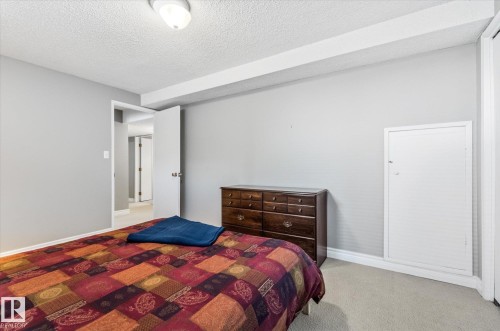 Neutral tone wall finishes, carpeting, and a flush-mount ceiling light fixture - 14309 101 Avenue, Edmonton, AB 