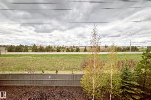 Backyard space with a wood fence, mature evergreen trees, and emerging deciduous trees - 311 142 Ebbers Boulevard, Edmonton, AB 