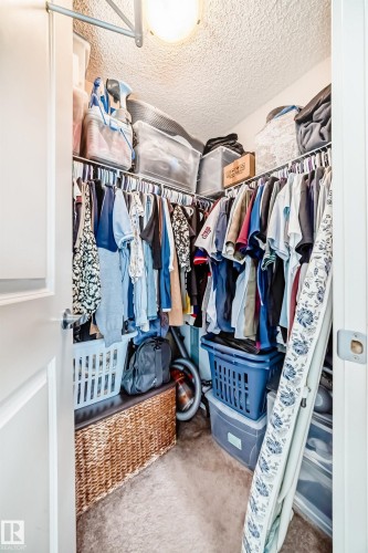 Walk-in closet featuring carpet flooring, built-in shelving, and a ceiling-mounted light fixture - 311 142 Ebbers Boulevard, Edmonton, AB 